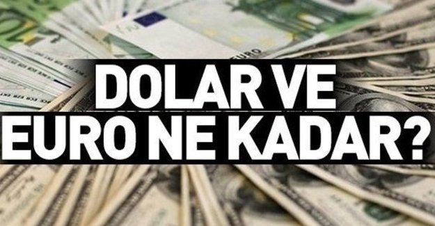 Dolar’da bu gün