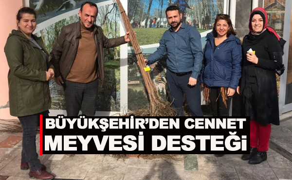 Büyükşehir’den cennet meyvesi desteği