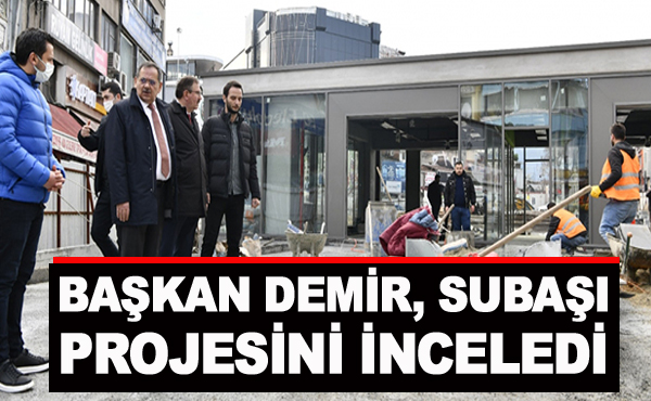 Başkan Demir, Subaşı Projesini İnceledi
