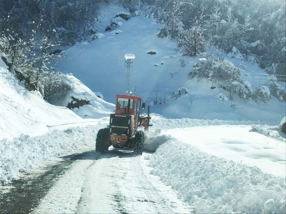 Samsun’da tuzlama ve solisyon çalışmaları sürüyor