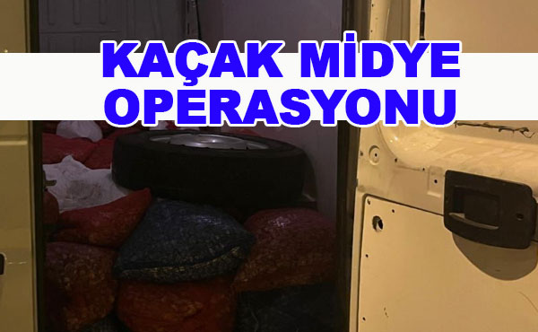 Samsun’da Deniz Polisi kaçak midyeye geçit vermedi