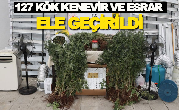 Samsun’da evde uyuşturucu yetiştiren şüpheli yakalandı